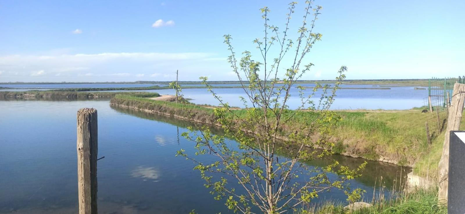 Casa Vacanze Nel Delta Del Po Taglio di Po Buitenkant foto