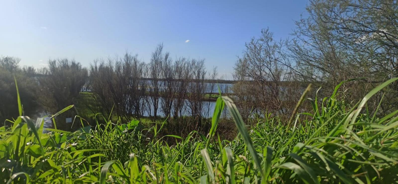 Casa Vacanze Nel Delta Del Po Taglio di Po Buitenkant foto