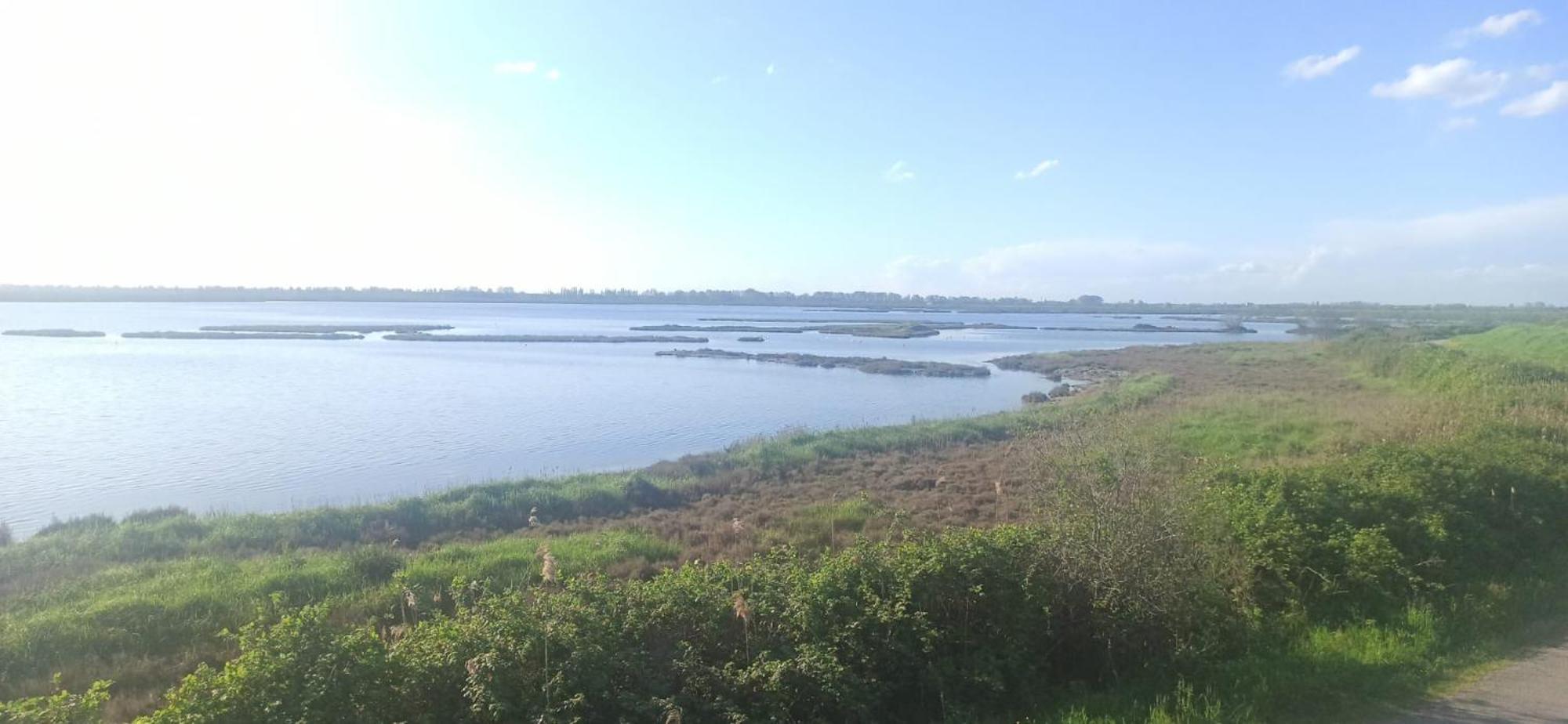 Casa Vacanze Nel Delta Del Po Taglio di Po Buitenkant foto