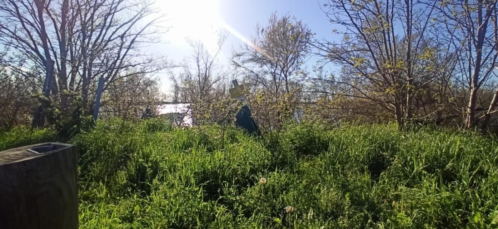Casa Vacanze Nel Delta Del Po Taglio di Po Buitenkant foto