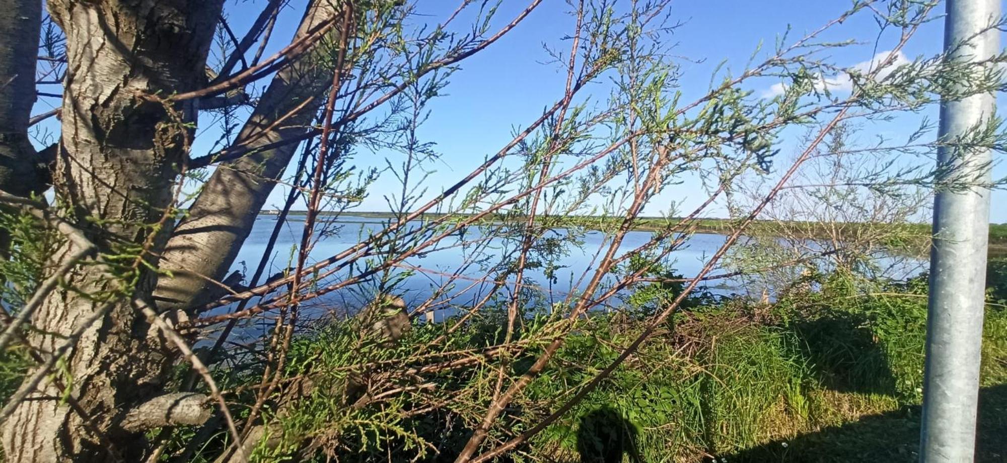 Casa Vacanze Nel Delta Del Po Taglio di Po Buitenkant foto