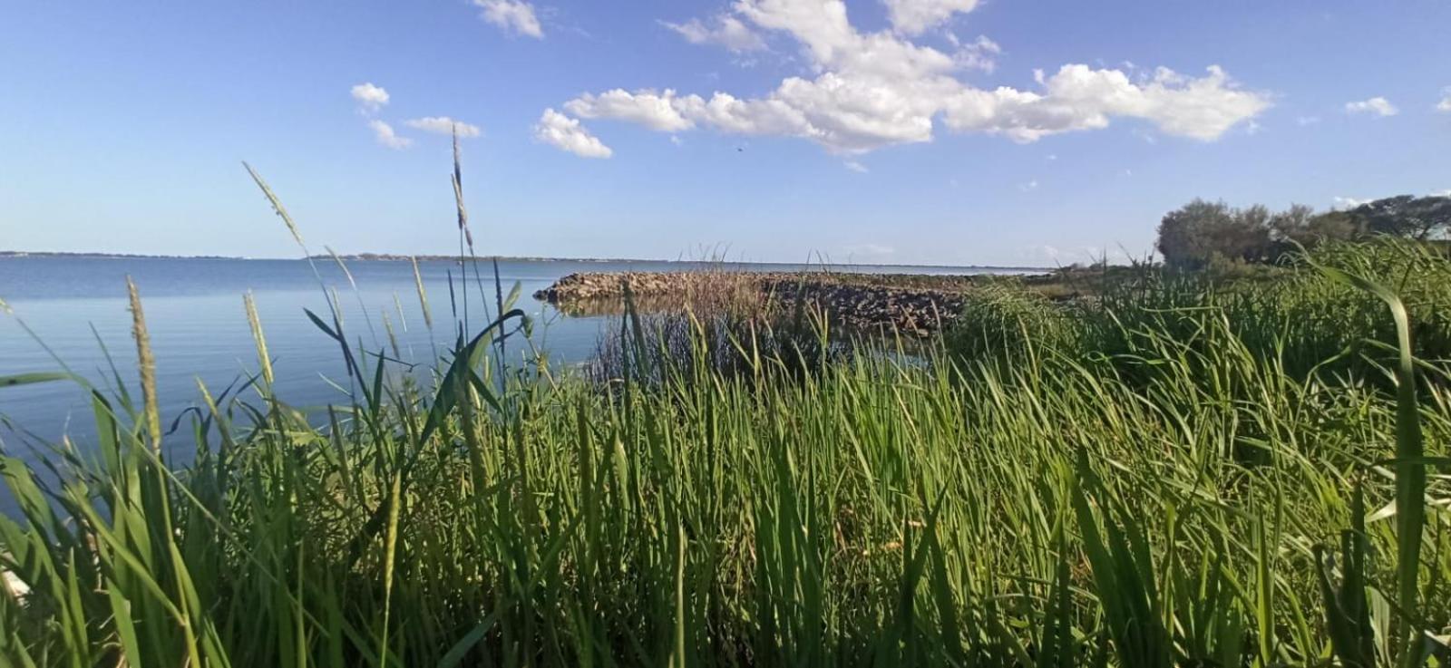 Casa Vacanze Nel Delta Del Po Taglio di Po Buitenkant foto