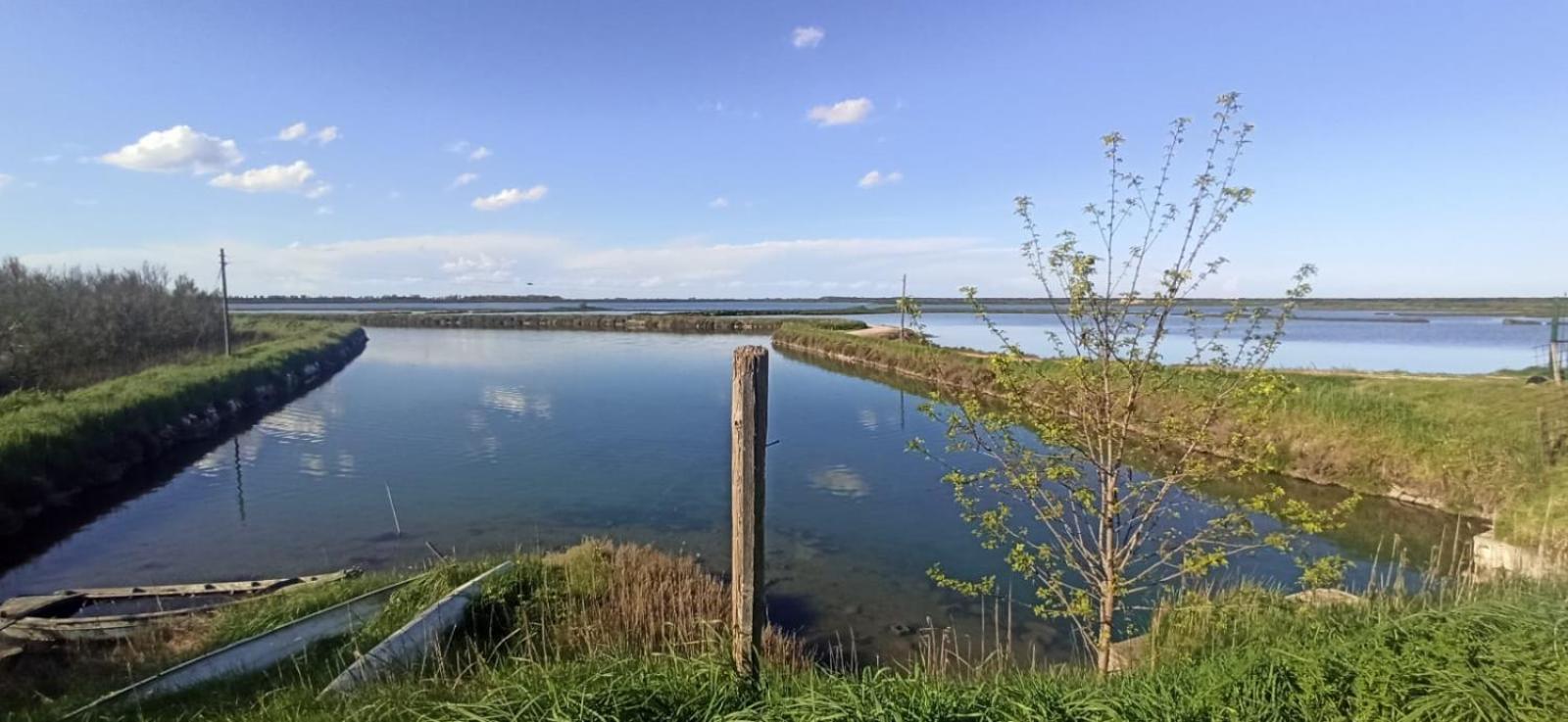 Casa Vacanze Nel Delta Del Po Taglio di Po Buitenkant foto