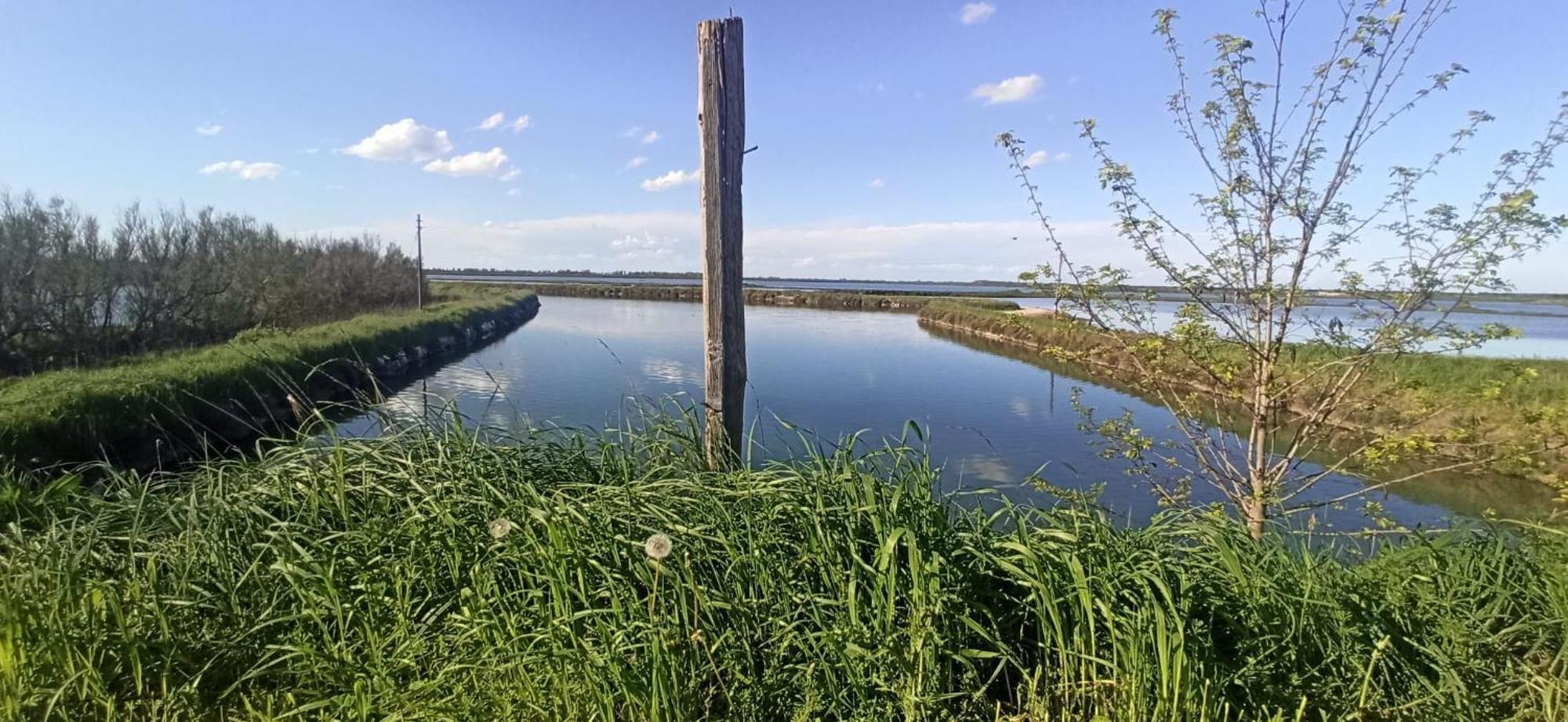 Casa Vacanze Nel Delta Del Po Taglio di Po Buitenkant foto