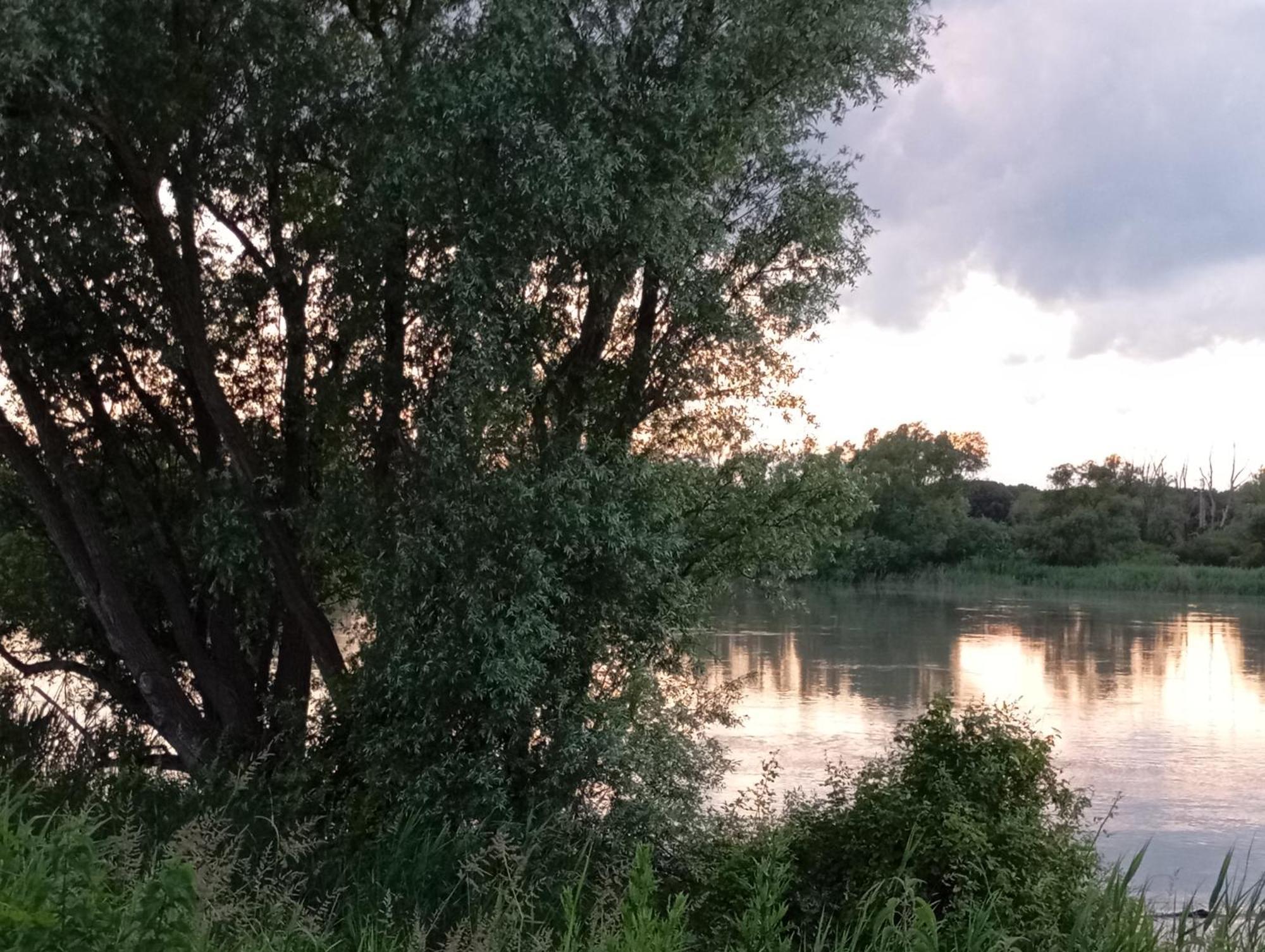 Casa Vacanze Nel Delta Del Po Taglio di Po Buitenkant foto