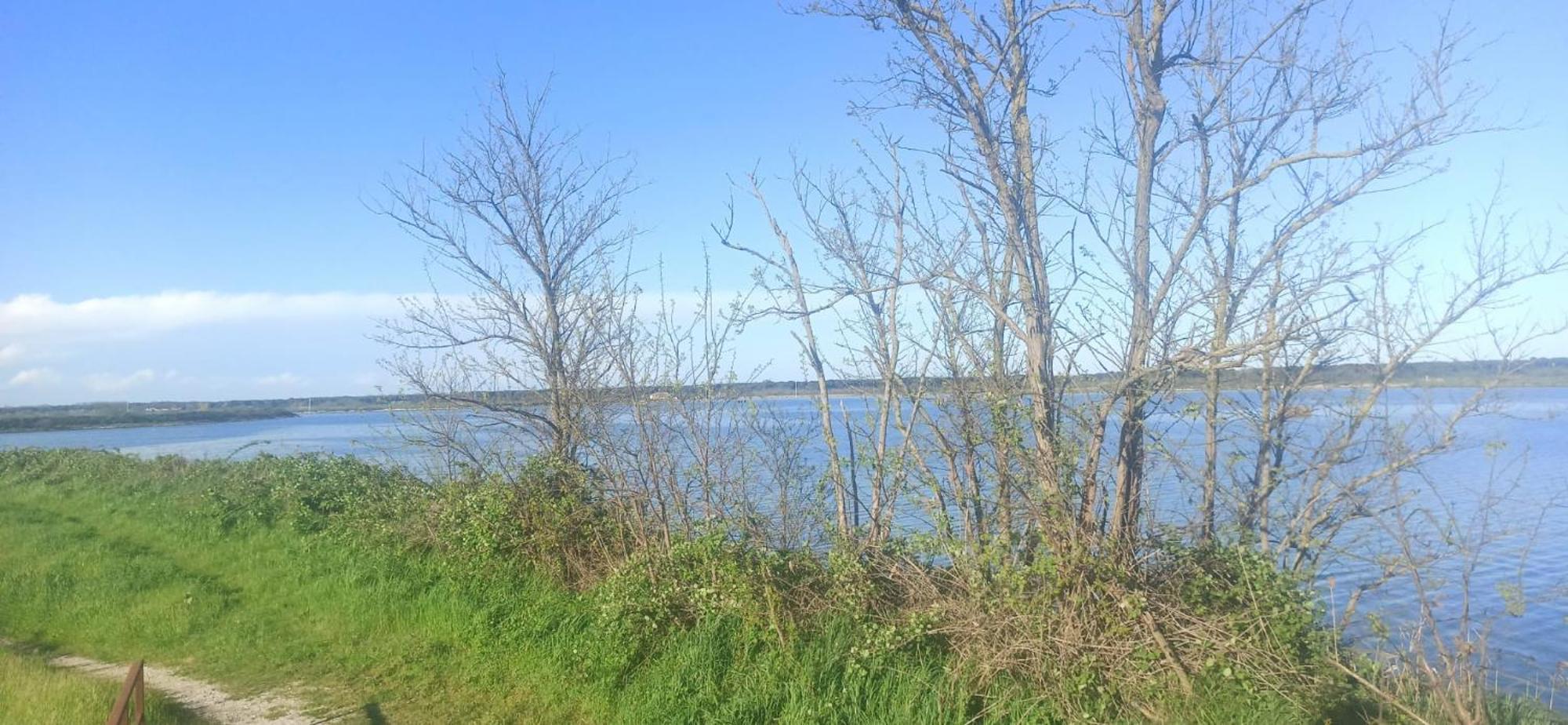 Casa Vacanze Nel Delta Del Po Taglio di Po Buitenkant foto