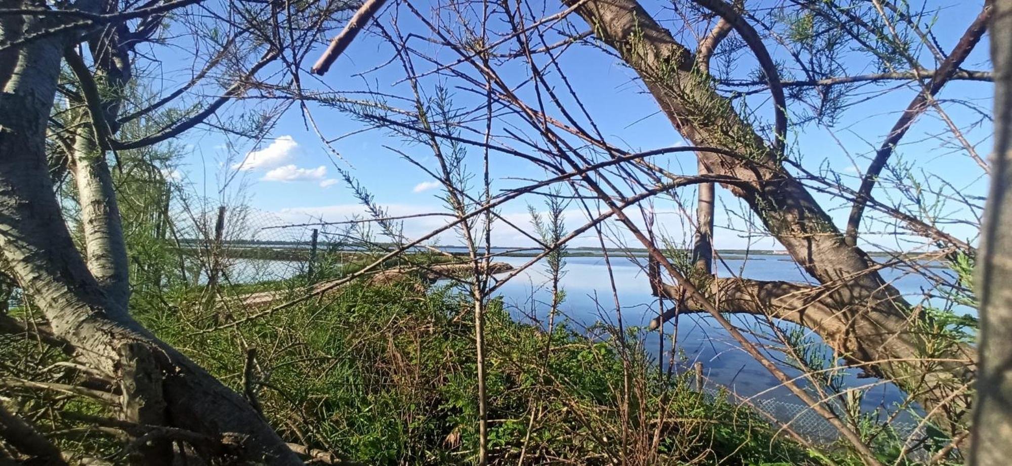 Casa Vacanze Nel Delta Del Po Taglio di Po Buitenkant foto